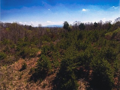 30.44 Acres in Vonore - Rare In-Town Acreage Near Tellico Lake & - photo 32