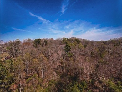 30.44 Acres in Vonore - Rare In-Town Acreage Near Tellico Lake & - photo 34