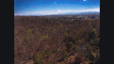 30.44 Acres in Vonore - Rare In-Town Acreage Near Tellico Lake & - photo 35