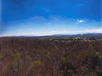 30.44 Acres in Vonore - Rare In-Town Acreage Near Tellico Lake & - photo 37