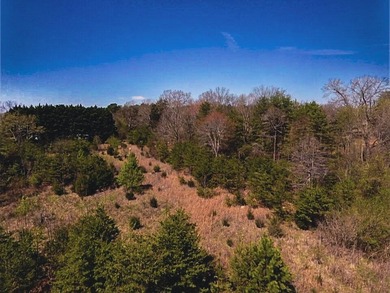 30.44 Acres in Vonore - Rare In-Town Acreage Near Tellico Lake & - photo 40