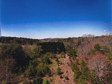 30.44 Acres in Vonore - Rare In-Town Acreage Near Tellico Lake & - photo 41