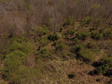 30.44 Acres in Vonore - Rare In-Town Acreage Near Tellico Lake & - photo 42