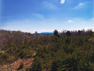 30.44 Acres in Vonore - Rare In-Town Acreage Near Tellico Lake & - photo 43