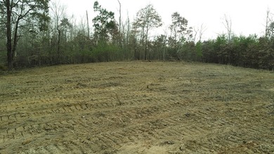 30.44 Acres in Vonore - Rare In-Town Acreage Near Tellico Lake & - photo 44