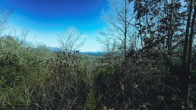 30.44 Acres in Vonore - Rare In-Town Acreage Near Tellico Lake & - photo 45