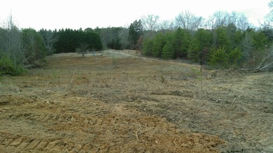 30.44 Acres in Vonore - Rare In-Town Acreage Near Tellico Lake & - photo 46