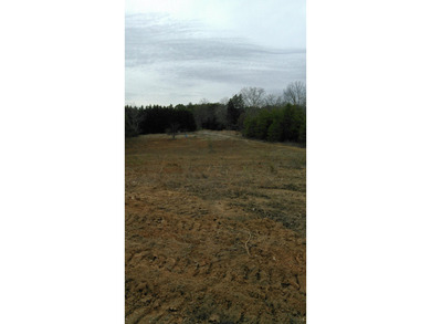 30.44 Acres in Vonore - Rare In-Town Acreage Near Tellico Lake & - photo 47