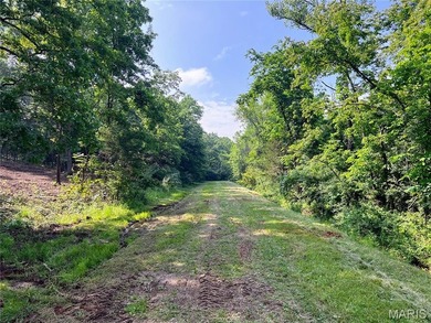 Lac Marseilles Acreage For Sale in Bonne Terre Missouri