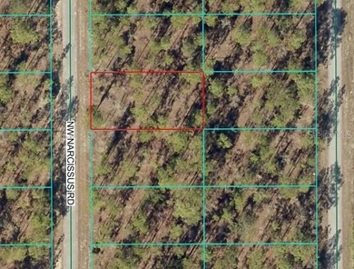 Bonable Lake Lot For Sale in Dunnellon Florida