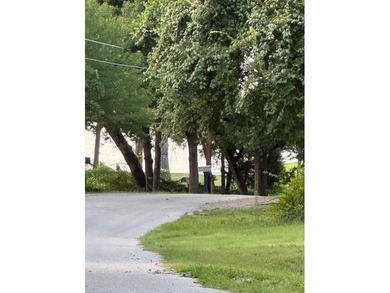 Lake Lot For Sale in Tool, Texas