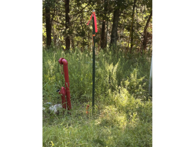 5.77 acres on Beaver Lakefrontage - photo 4