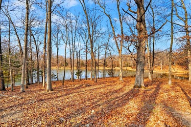 (private lake, pond, coastal) Home Sale Pending in Humansville Missouri