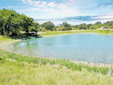 (private lake, pond, creek) Acreage Active Under Contract in Ranger Texas
