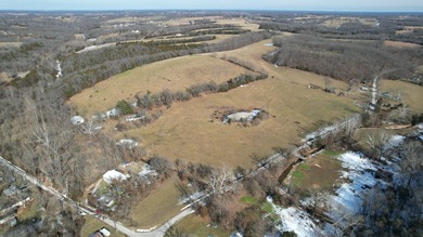 (private lake, pond, coastal) Home For Sale in Ponce De Leon Missouri