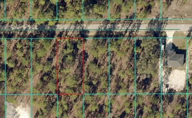 Bonable Lake Lot For Sale in Dunnellon Florida