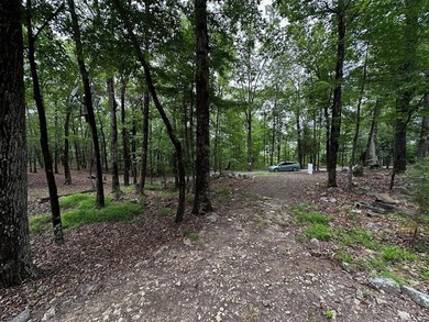 Unique opportunity to build your dream home on this beautiful 1 - photo 12