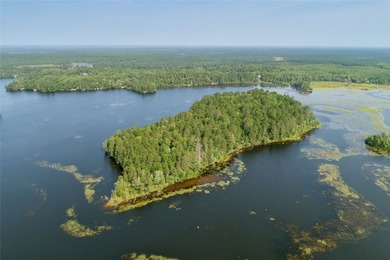 Unique, pristine Northwoods opportunity on the highly - photo 13