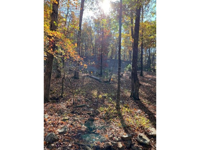 Unique opportunity to build your dream home on this beautiful 1 - photo 14