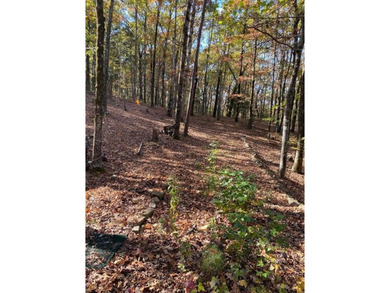 Unique opportunity to build your dream home on this beautiful 1 - photo 15