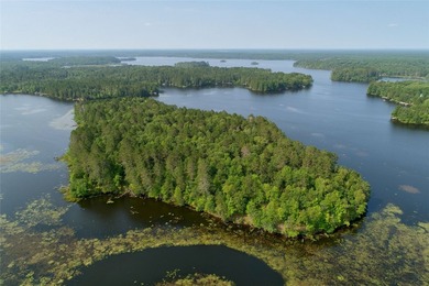 Unique, pristine Northwoods opportunity on the highly - photo 15
