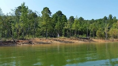 Unique opportunity to build your dream home on this beautiful 1 - photo 20
