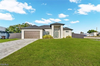 Welcome to this stunning newly built home in the heart of Cape - photo 1