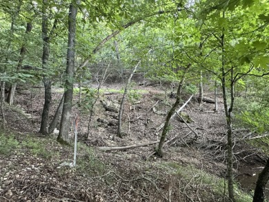 5.77 acres on Beaver Lakefrontage - photo 13