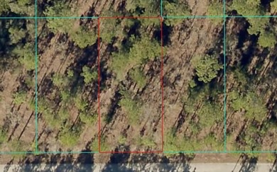 Bonable Lake Lot For Sale in Dunnellon Florida