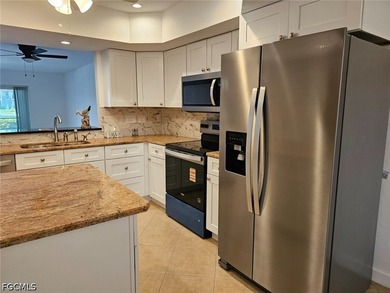 Just Reduced! Waterfront Gulf Access Condo with approximately - photo 21