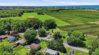 Charming 4-bedroom, 2-bath country home backing to tranquil - photo 47
