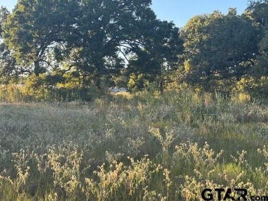 Cedar Creek Lake Acreage For Sale in Gun Barrel City Texas