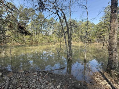(private lake, pond, creek) Acreage For Sale in Violet Hill Arkansas