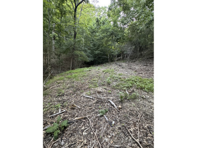 5.77 acres on Beaver Lakefrontage - photo 14