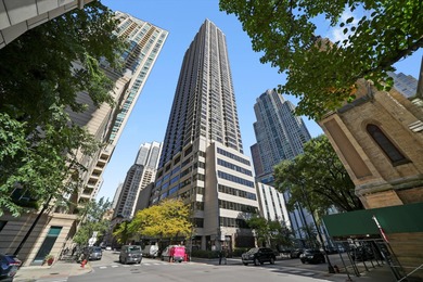 Lake Michigan - Cook County Condo Active Under Contract in Chicago Illinois