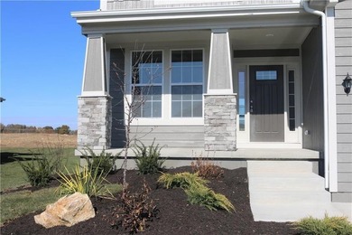 Sydney III on a daylight lot features an open floor plan where - photo 2