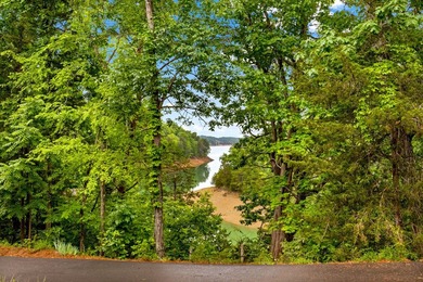 MOTIVATED SELLER: Experience the ultimate mountain-and-lake - photo 26