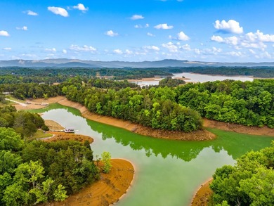 MOTIVATED SELLER: Experience the ultimate mountain-and-lake - photo 29