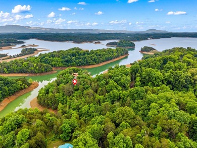 MOTIVATED SELLER: Experience the ultimate mountain-and-lake - photo 32
