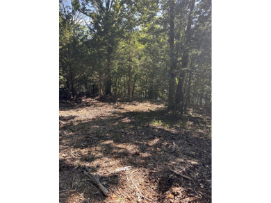 5.77 acres on Beaver Lakefrontage - photo 9