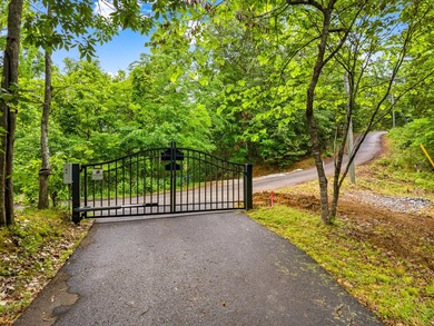 MOTIVATED SELLER: Experience the ultimate mountain-and-lake - photo 36