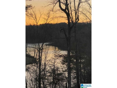 Highland Lake Lot For Sale in Oneonta Alabama