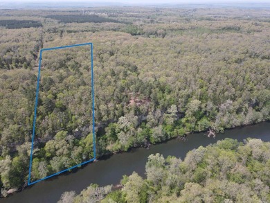 Escape to 9.2 acres +/- of scenic recreational timberland with - photo 2
