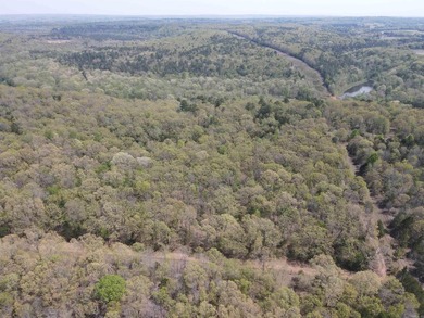 Escape to 9.2 acres +/- of scenic recreational timberland with - photo 7