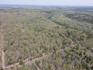 Escape to 9.2 acres +/- of scenic recreational timberland with - photo 9