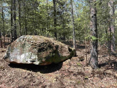 Escape to 9.2 acres +/- of scenic recreational timberland with - photo 10