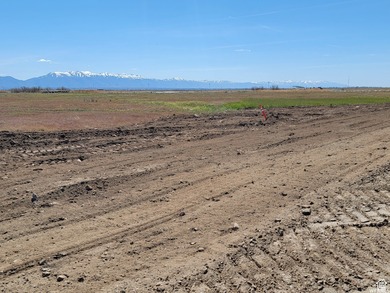 Included in the new inland port boundaries. Significant - photo 2