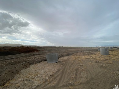 Included in the new inland port boundaries. Significant - photo 4