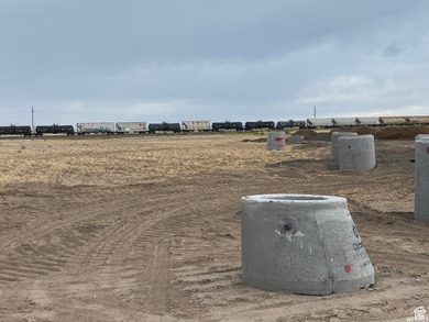 Included in the new inland port boundaries. Significant - photo 6