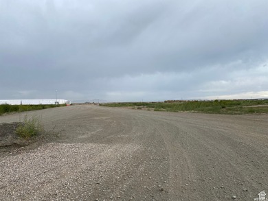 Included in the new inland port boundaries. Significant - photo 8